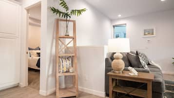 TV connectée, cheminée, lecteur de DVD, livres