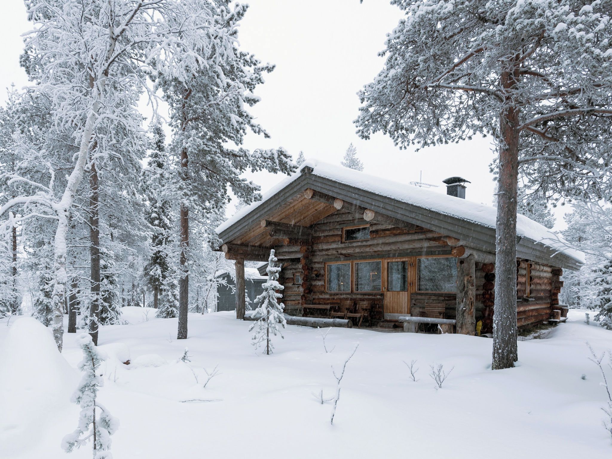 Lumihuntuun peittynyt metsä ympäröi hirsihökkelöä.