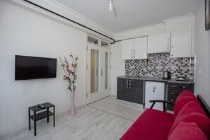 Standard Apartment | Private kitchen | Mini-fridge, stovetop, cookware/dishes/utensils, cleaning supplies - ARNEY SUİTES (Eskisehir)