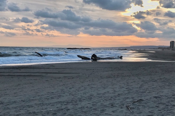 On the beach