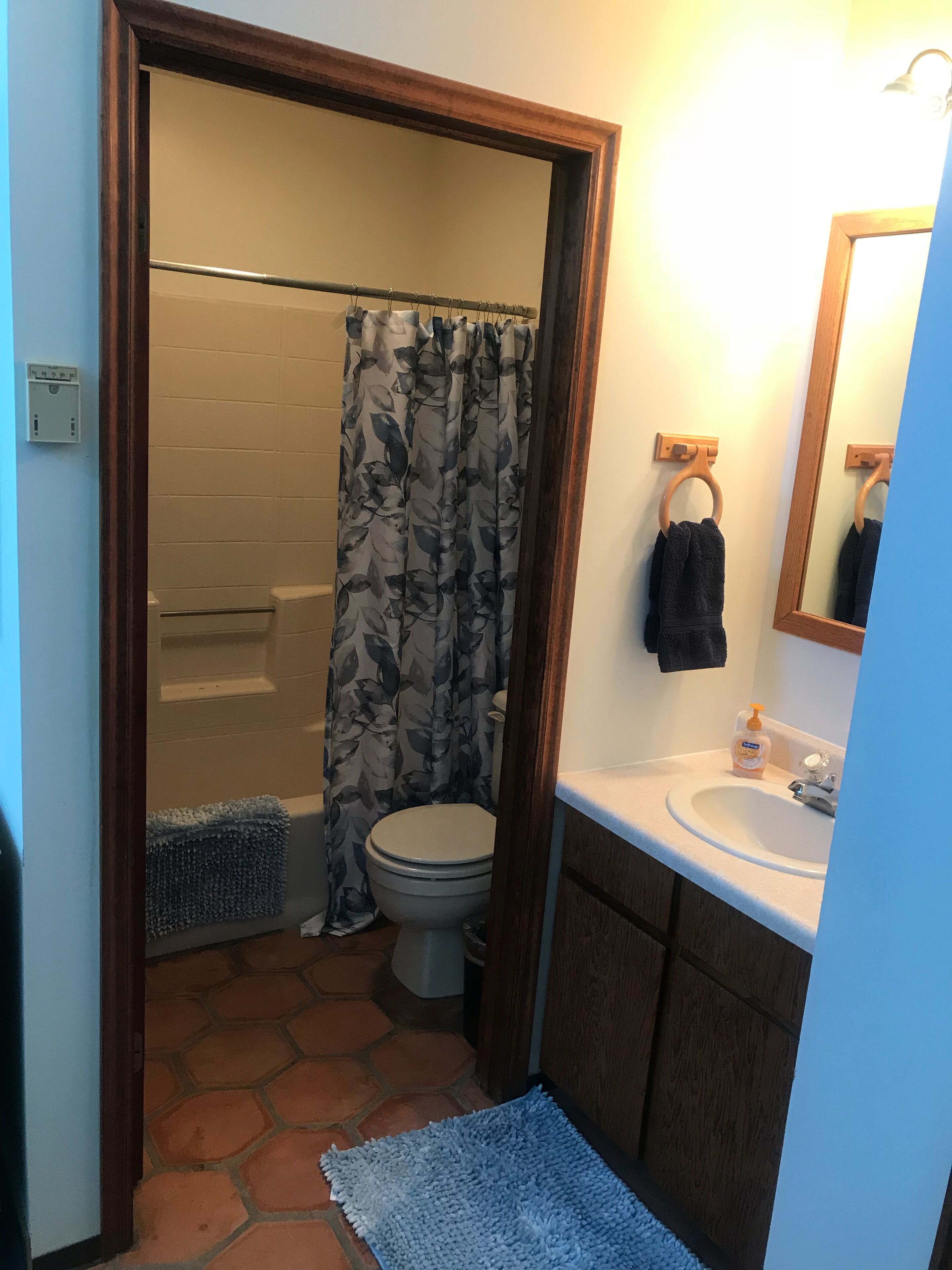 Combined shower/tub, hair dryer, towels, soap