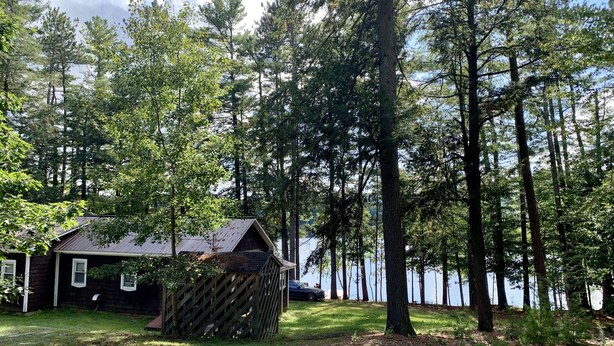Eine Holzhütte mit Metalldach, umgeben von dichtem Wald und einem See.