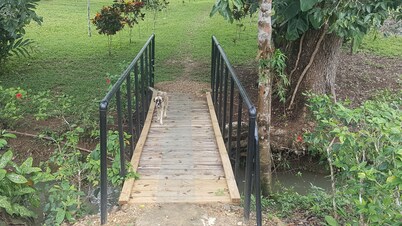 Lujo asequible en un entorno ecológico prístino.