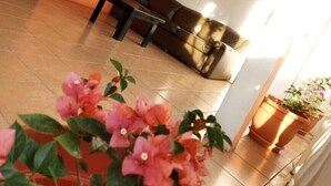 A living room with a sofa, a coffee table, and potted plants. - Hotel Internacional Guest House (Antigua Guatemala)