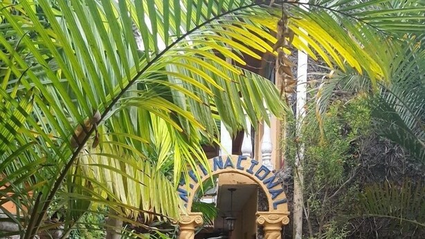 A pathway leading to a building with an arched entrance, surrounded by lush greenery and stone benches. - Hotel Internacional Guest House (Antigua Guatemala)