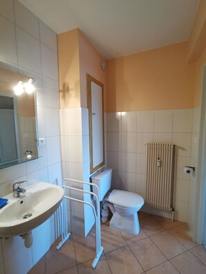 Shower, hair dryer - Charming 1 room, kitchen, bathroom of 35 m2 in very quiet residence. (Mulhouse)