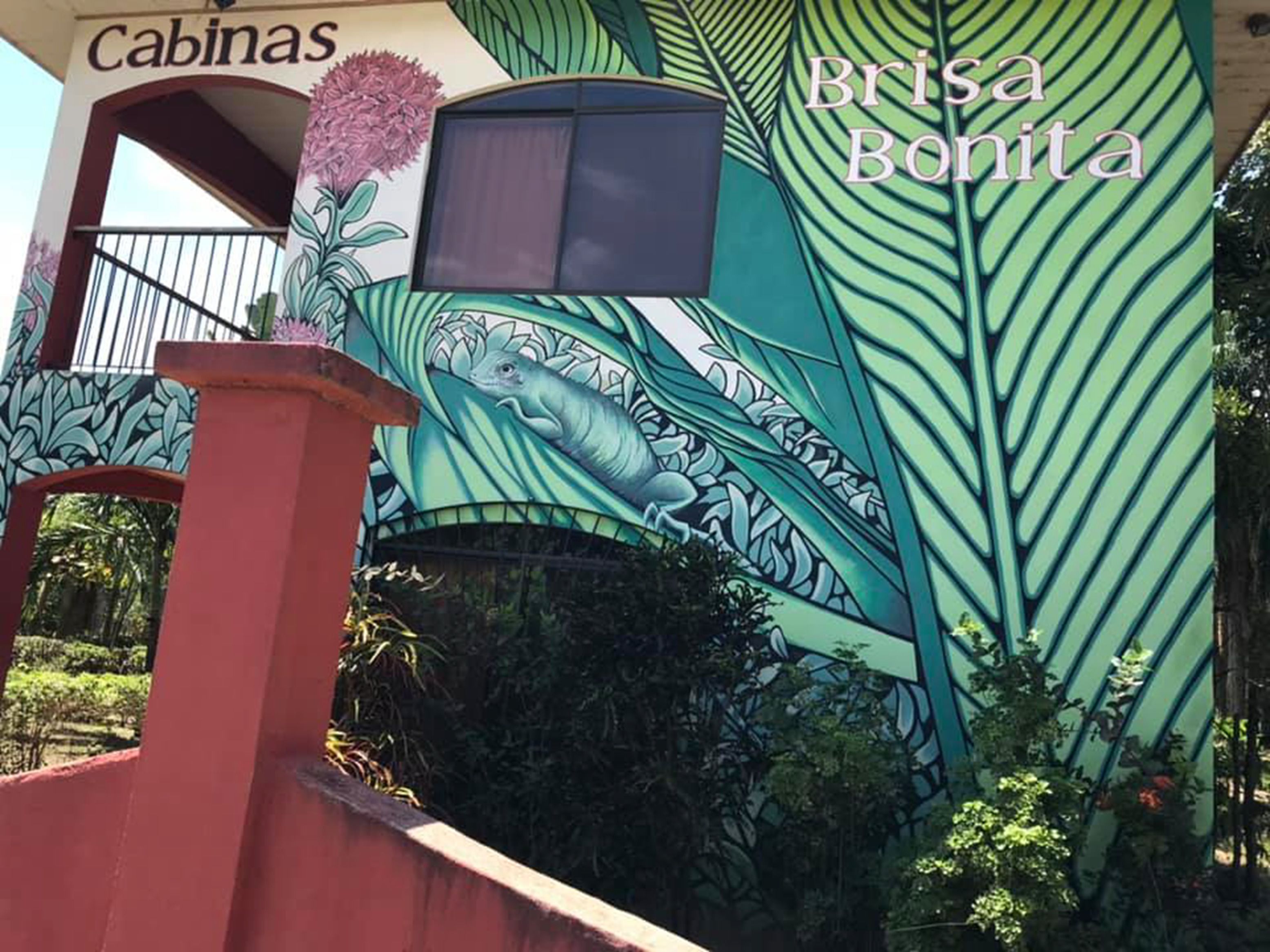 A building with a mural of a snake and leaves, labeled "Cabinas" and "Brisa Bonita".