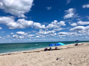 ビーチの近く、サンラウンジャー、ビーチタオル