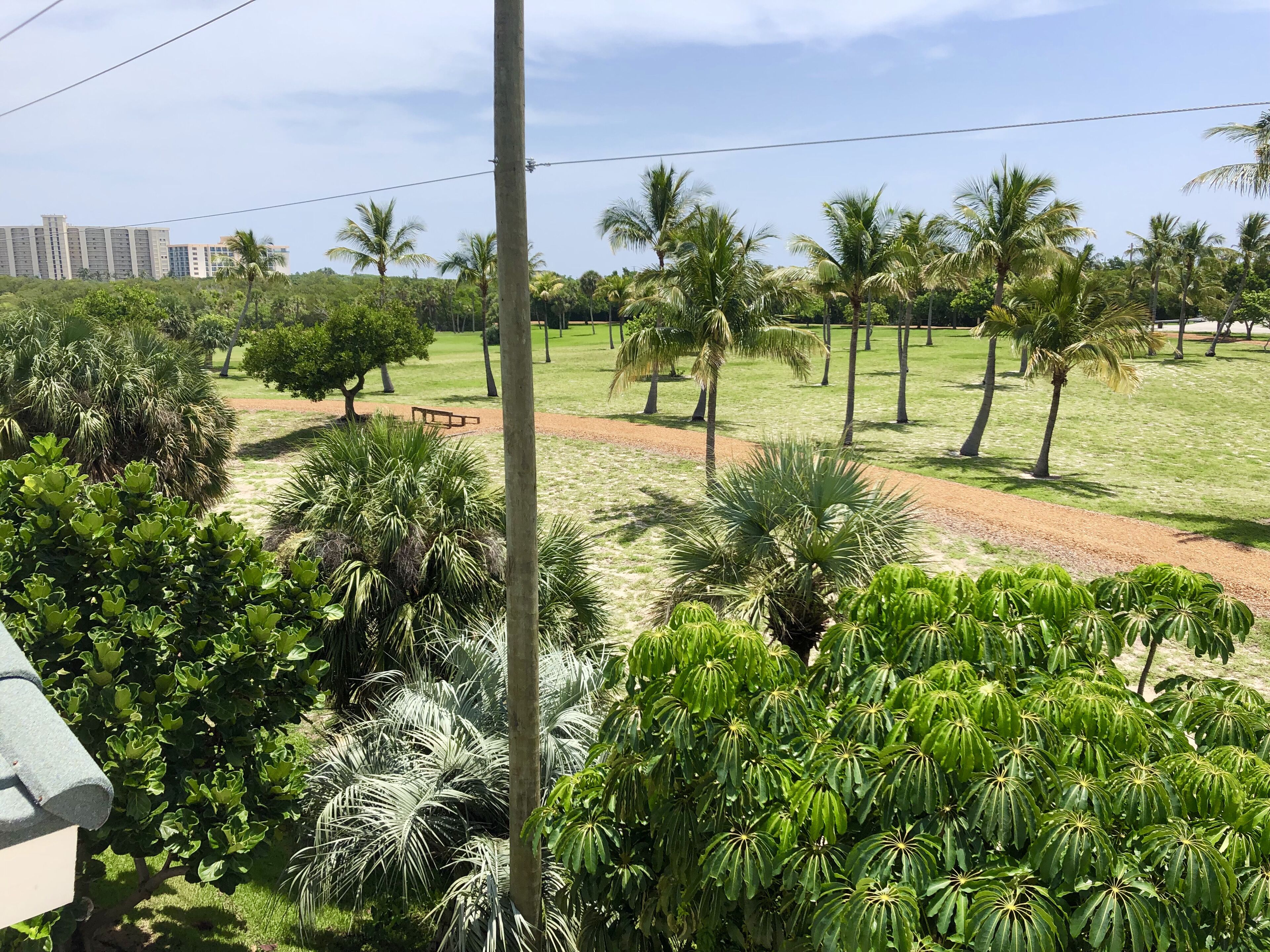 A view of a landscaped area with palm trees, a bench, and a building in the background.
