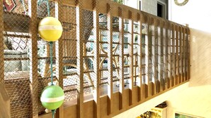 Eine Holztreppe mit einem Sicherheitsnetz, einem grünen Ball und einem gelben Ball.