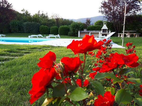 A pool area with lounge chairs and a barbecue grill.