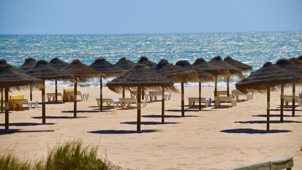 A beach with rows of thatched umbrellas and sun loungers. - Amora Villa-Vilamoura (vilamoura)