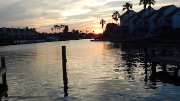 Enjoy serene waterfront views and tranquil ambiance with a dock and palm trees.