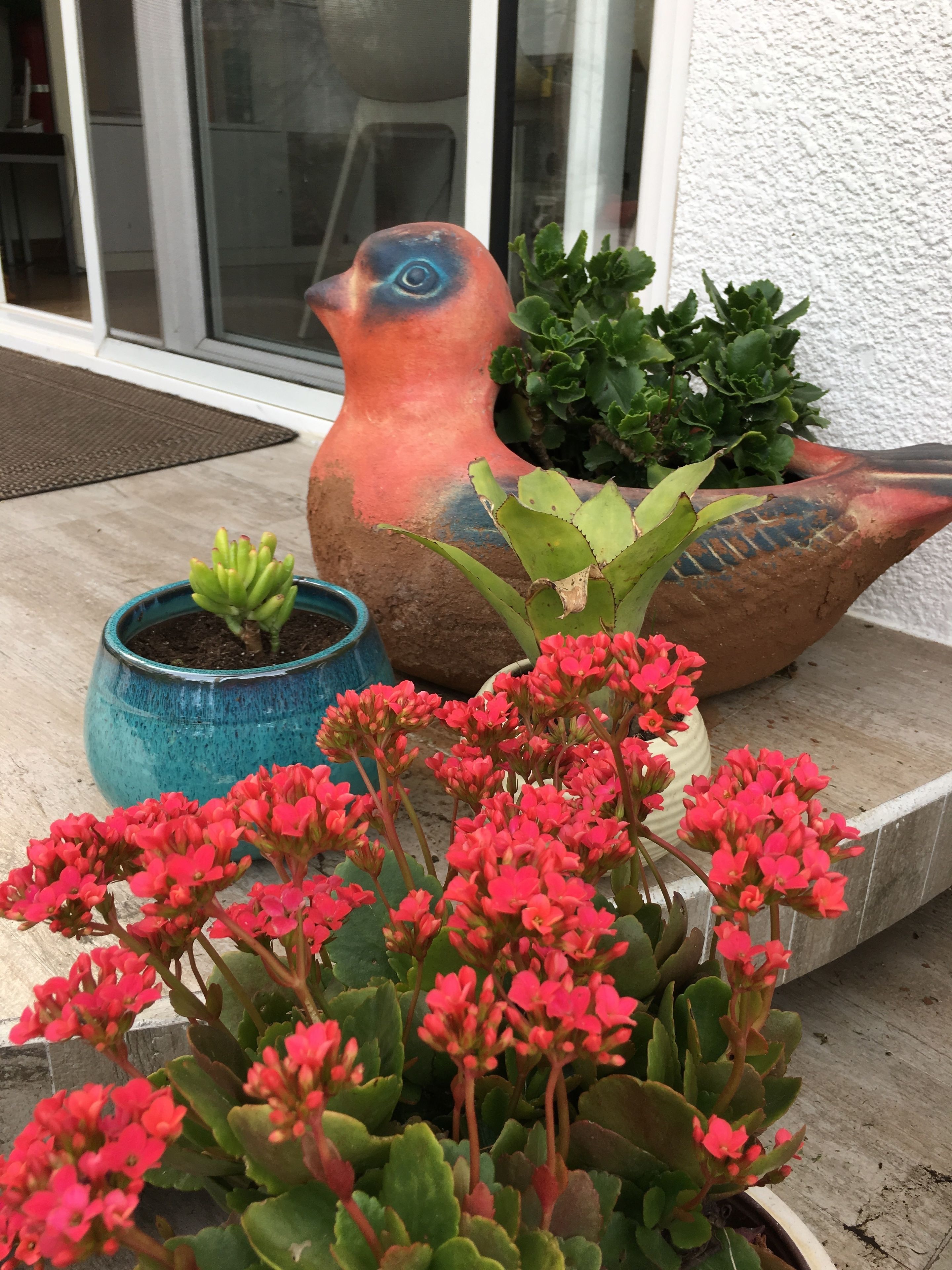 Una jardinera con forma de pájaro con flores rojas, una planta pequeña en maceta y una maceta azul con hojas verdes.