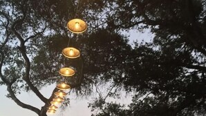 A tree with hanging lights and a view of mountains. - Gorgeous Secluded Treehouse with Spectacular Views (Carmel Valley)