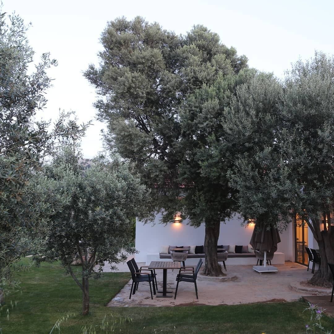 breakfast, lunch and dinner served