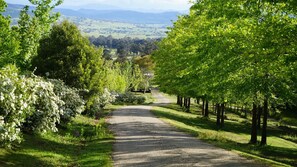 Property grounds - Merrimont Downs - Off Mountain Farm Stay (Merrijig)