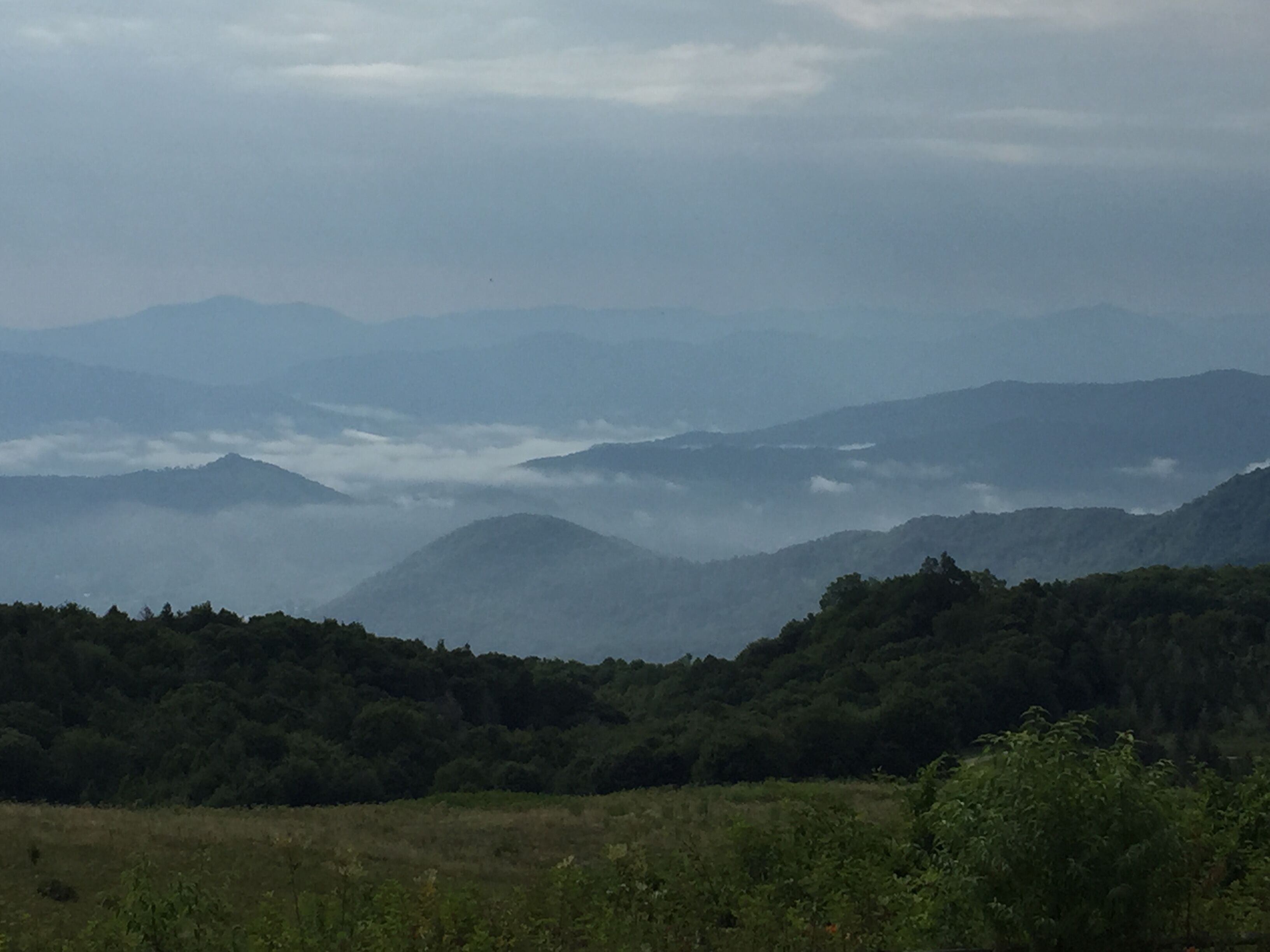 Un paysage montagneux comprenant une vallée et des zones boisées.