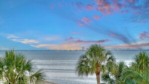 A coastal view with palm trees in the foreground and a city skyline in the background. - Ocean View of AMI | Hot Tub | IMG | 6 TVs | 2 King Beds (Bradenton)