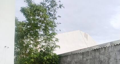 PALMAS DE CHAHUE 8 (1,100 SF)