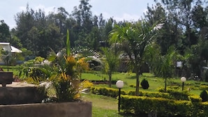 A well-maintained garden with various plants and a clear sky. - Lantana Comfy (Kakamega)