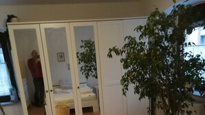 Una habitación con una cama, una planta en maceta, un armario y un espejo que refleja a una persona.