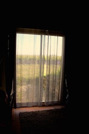 Suite (Cep) | Ausblick vom Zimmer