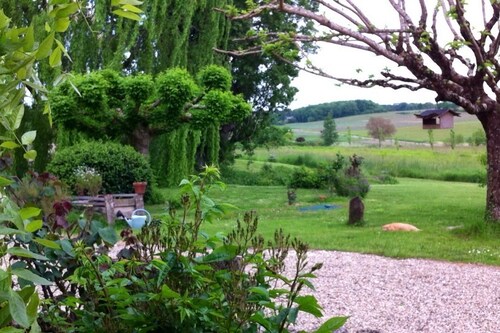 Little paradise in the middle of the vineyards