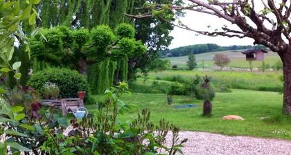 Little paradise in the middle of the vineyards