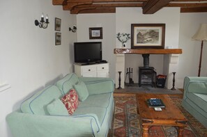 Téléviseur, foyer, lecteur de DVD, livres