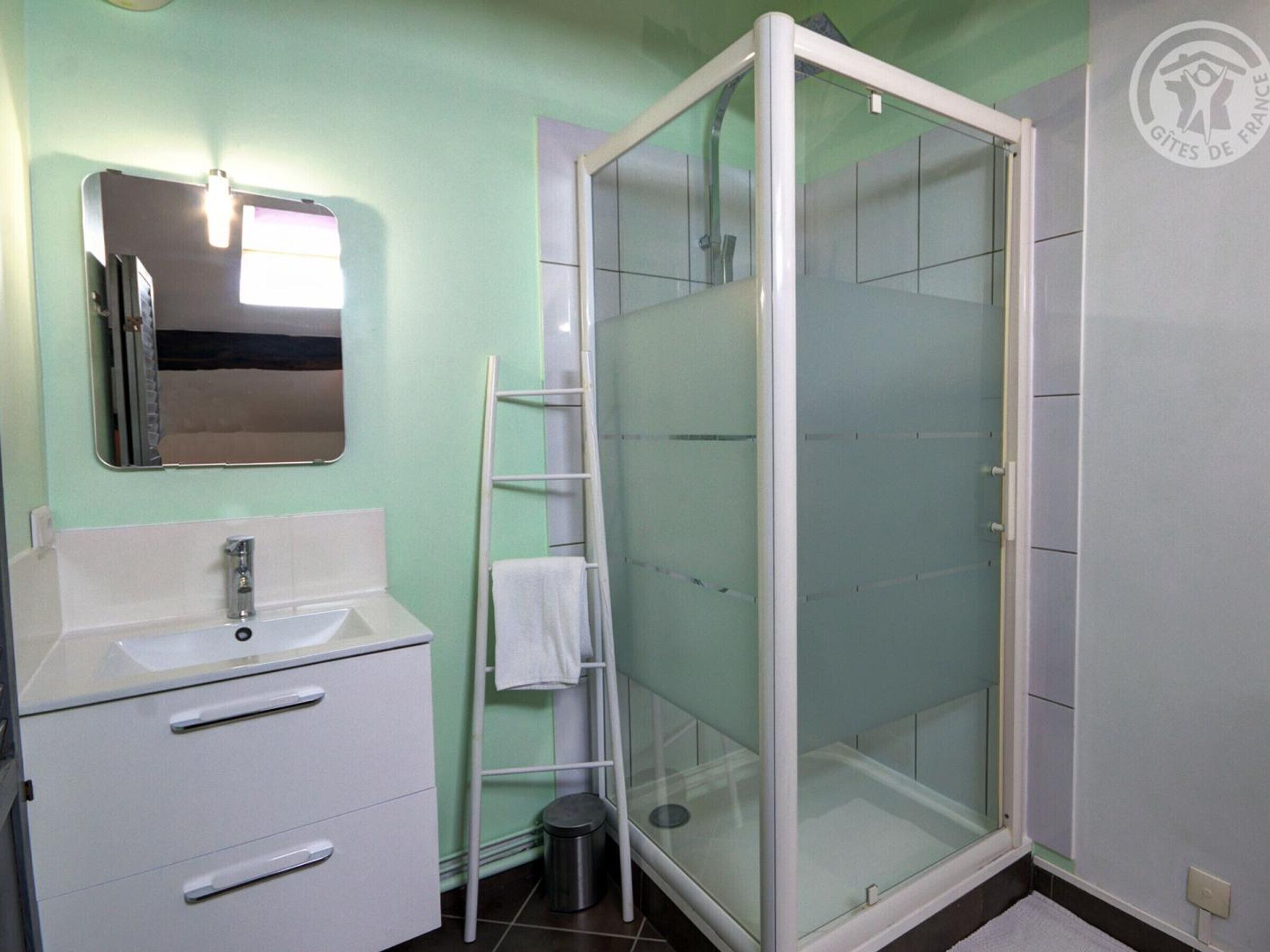 A bathroom with a white vanity, a mirror, a glass shower enclosure, and a towel rack.