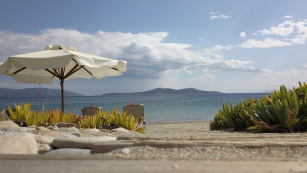 A beach with a white umbrella, two chairs, and green plants.