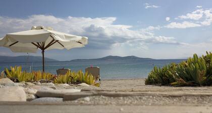 On The Beach Luxurious Villa, Ideal Family Holiday Aphrodite Villas Evia