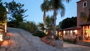 A stone pathway leading to a building with a stone facade and a palm tree.