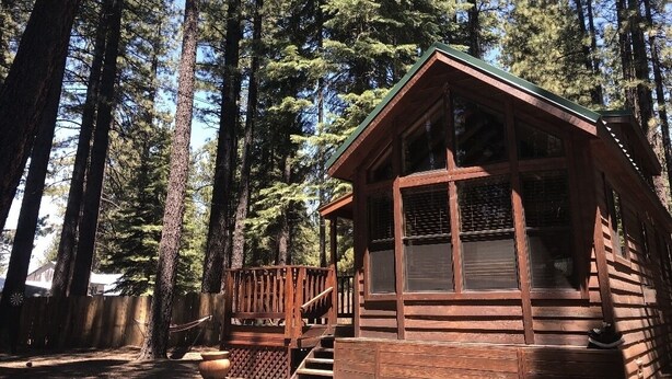 Eine Holzhütte mit Veranda und großen Fenstern, umgeben von hohen Bäumen.