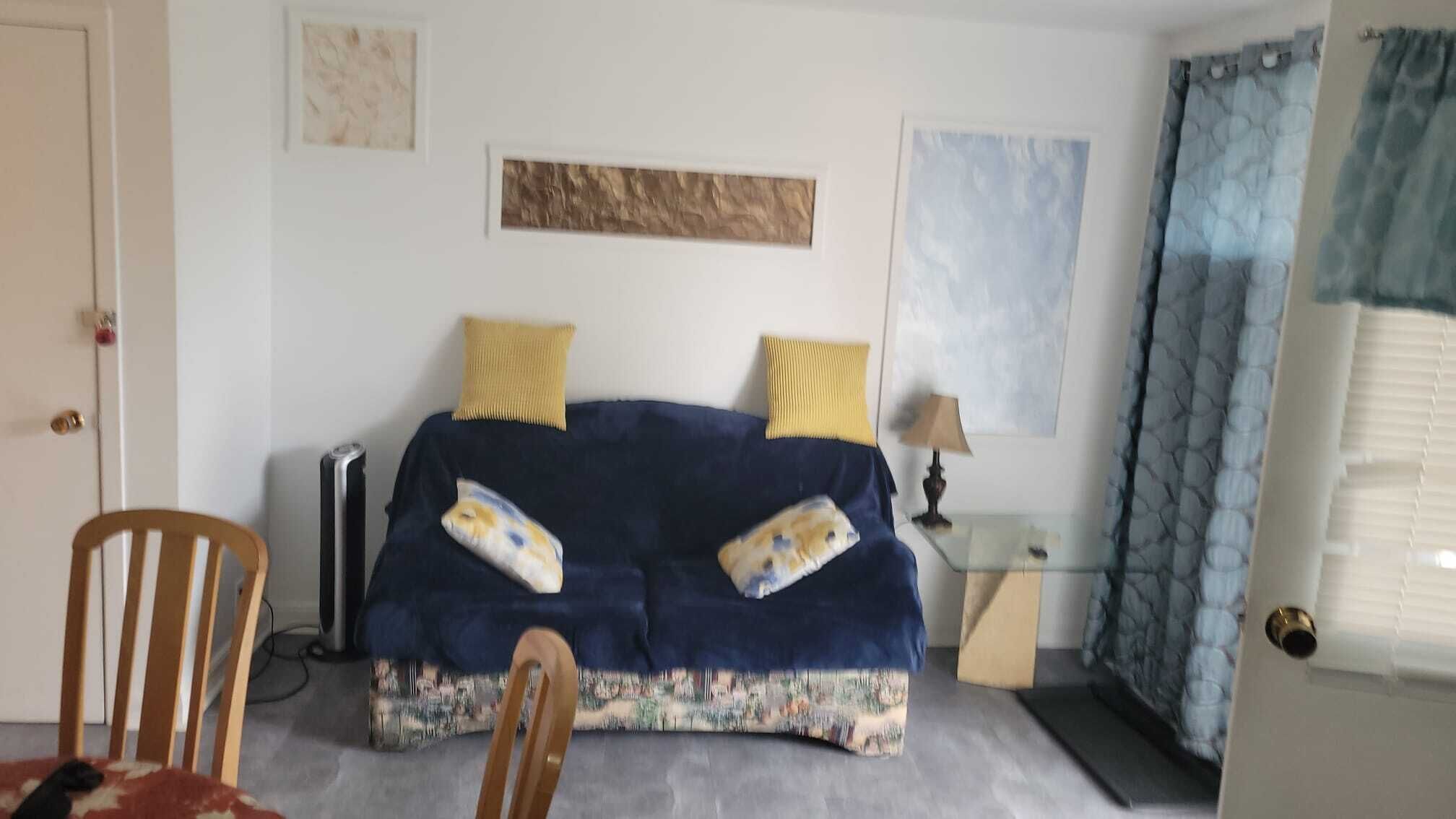 Smart TV, Netflix, streaming services