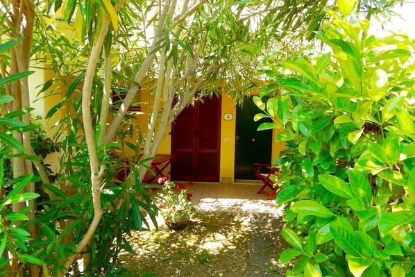 A courtyard with a red door, a yellow wall, and green foliage.