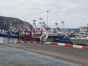 Jachthaven