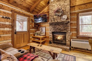 Télévision, cheminée, lecteur de DVD