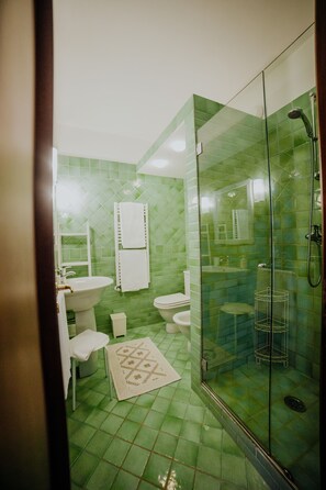 Shower, hair dryer, bidet, towels