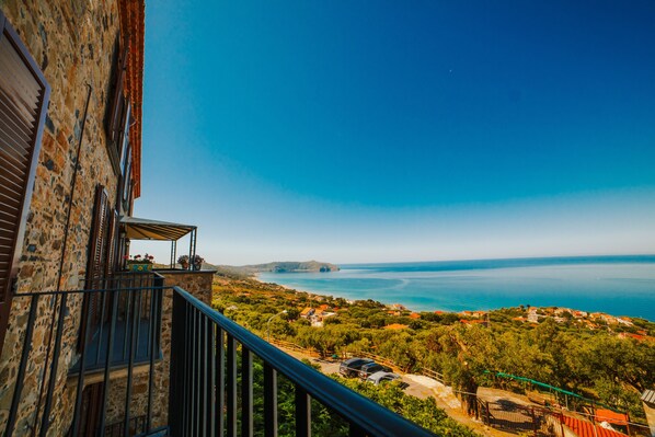 Property grounds - Golfo degli Ulivi Residence - THREE-ROOM APARTMENT 4 (Pisciotta, Salerno)