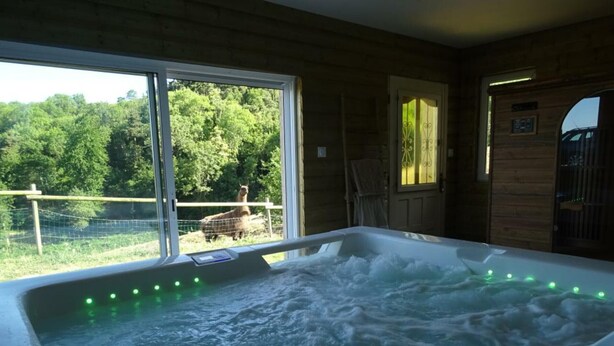 Un bain à remous avec vue sur un lama à l’extérieur.