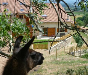 A house with a tiled roof, a wooden fence, and a view of the countryside.