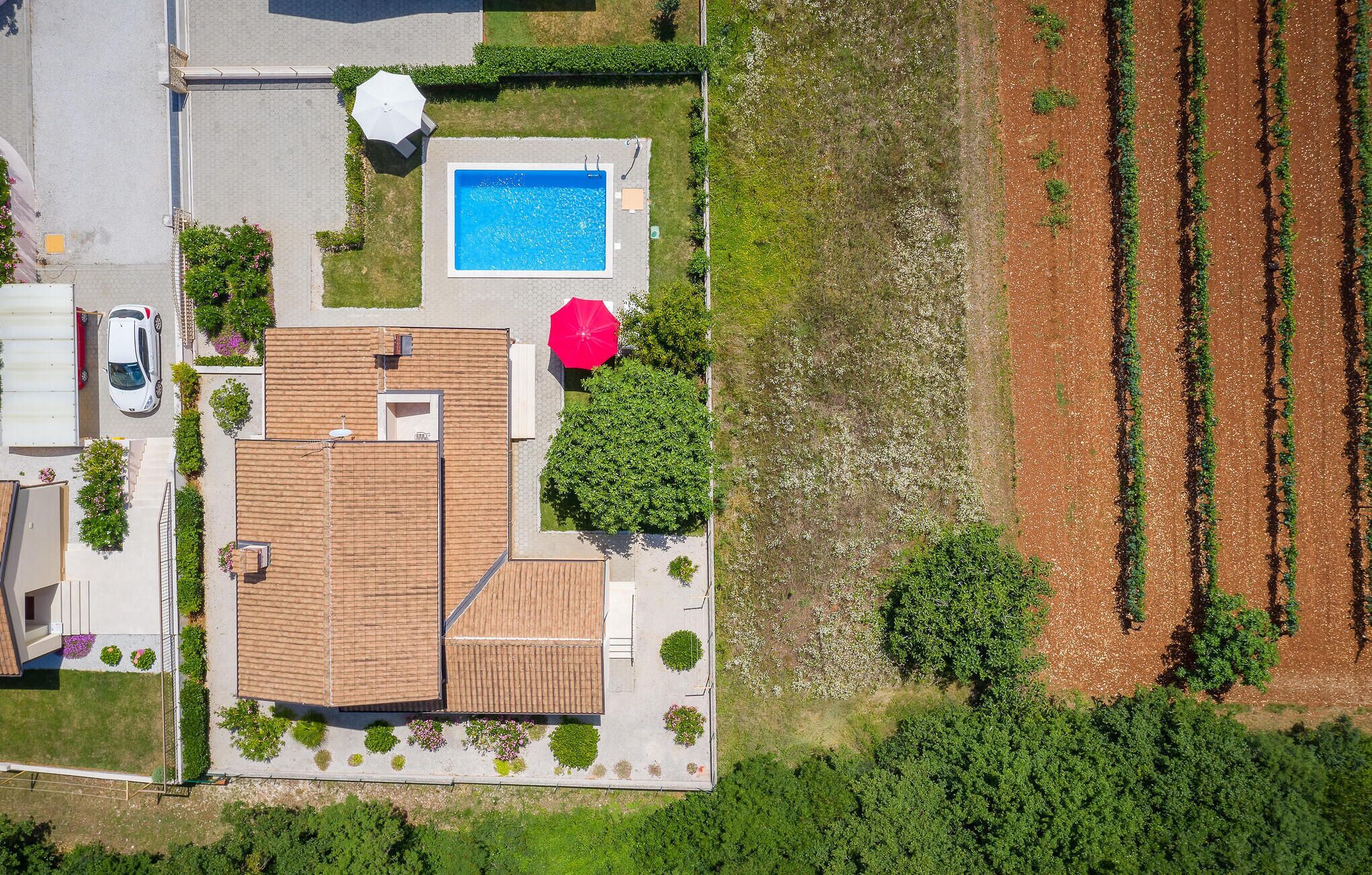 A residential area with a swimming pool, a car, and a garden.