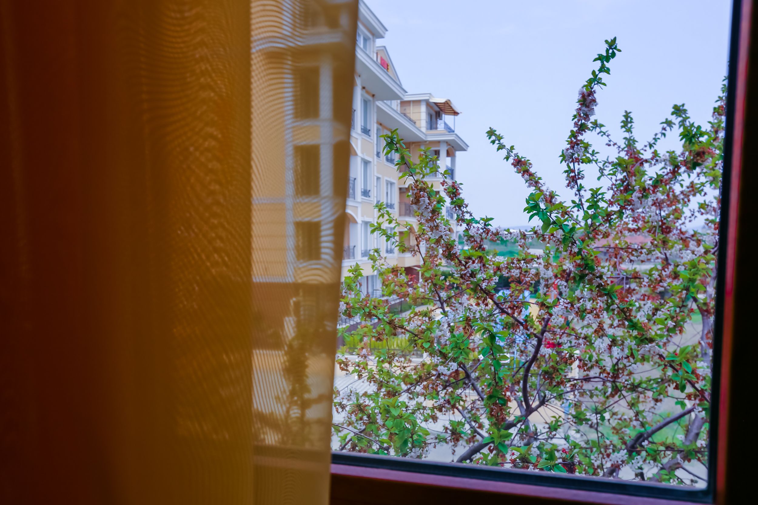 A window view of a building with balconies and a tree with green and red leaves.