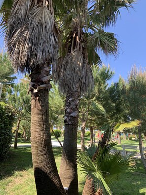 Overnattingsstedets uteområder