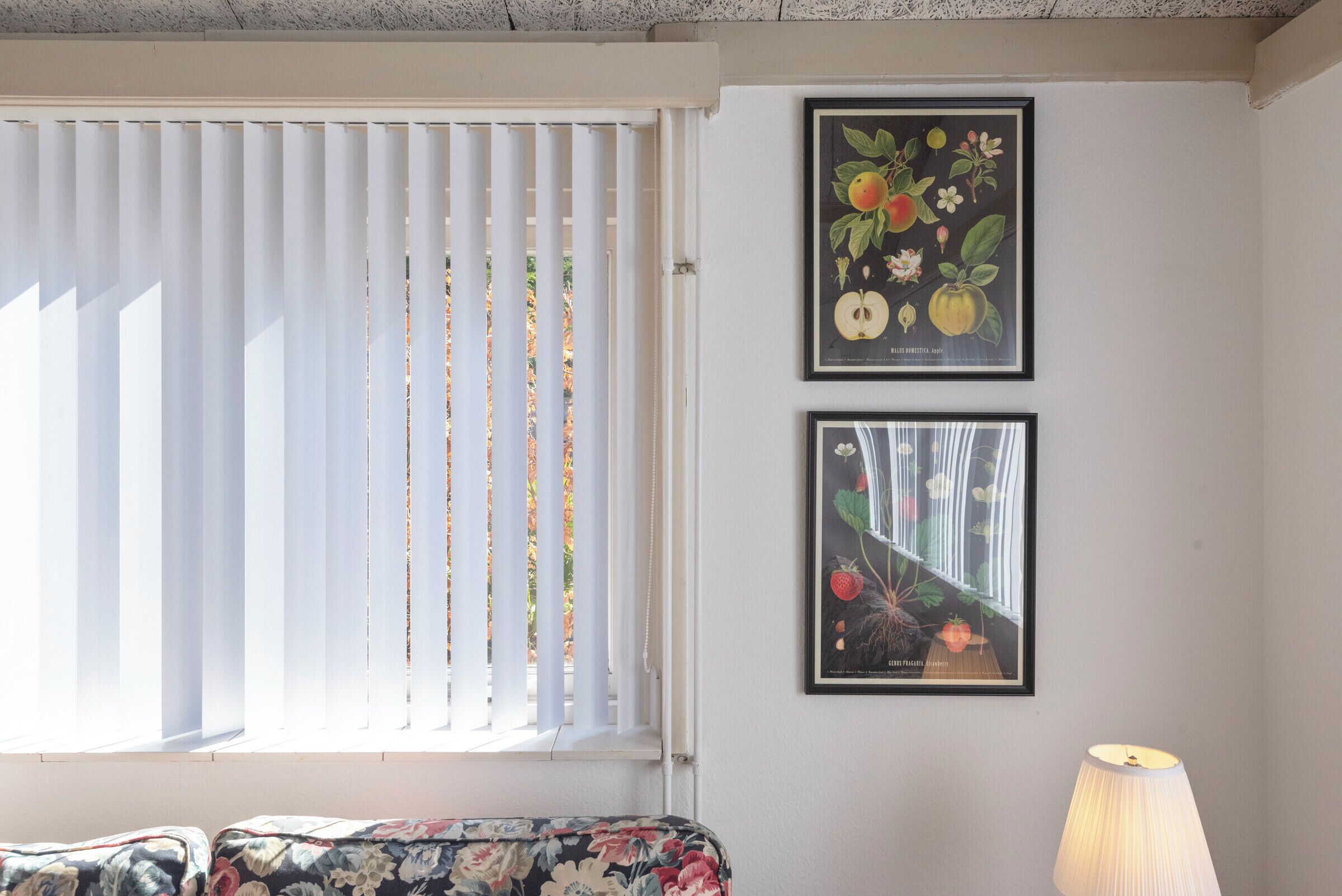 A room with a window covered by blinds, a bed with floral bedding, and two framed botanical prints on the wall.