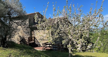 Apartment for 4/5 Persons, Amazing View on Trasimeno Lake