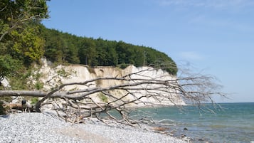 Una playa cerca