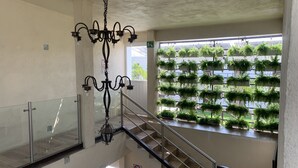 Rooftop terrace - Posada Las Asadas (Xochitepec)